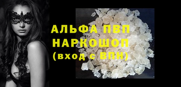 крисы Новодвинск