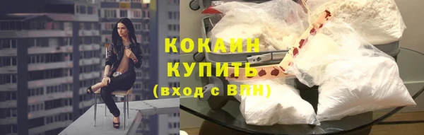 индика Нягань