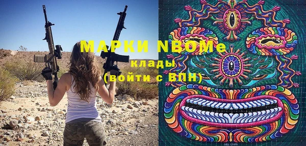 крисы Новодвинск