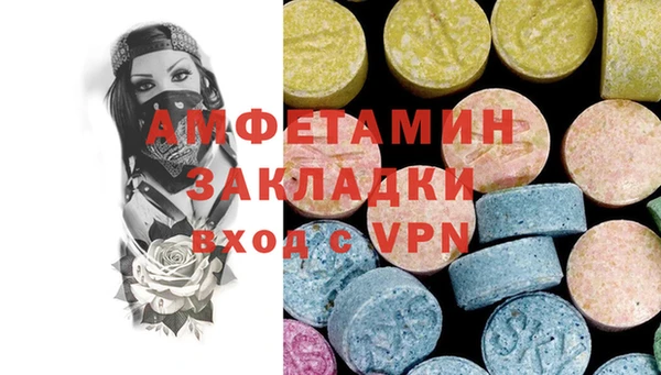 крисы Новодвинск