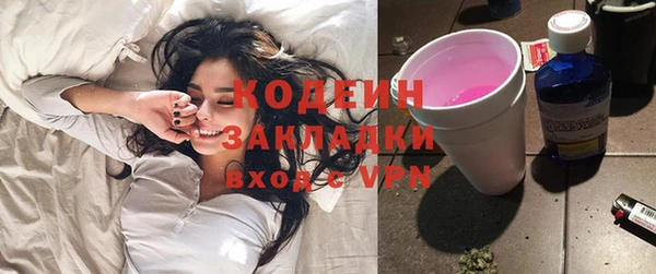 крисы Новодвинск