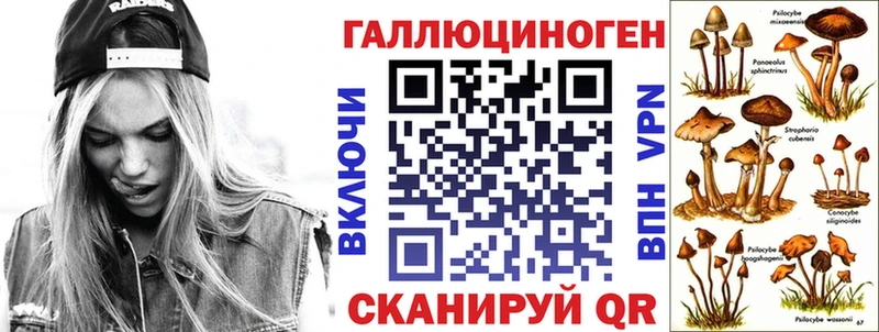 наркошоп  Инта  Псилоцибиновые грибы GOLDEN TEACHER 